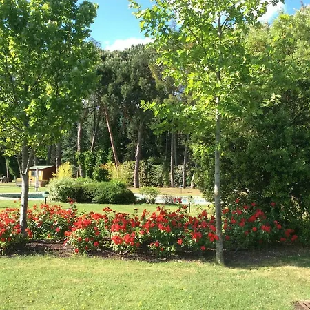 Casa Di Chiarilu' Apartament Cortona
